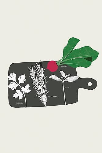 Herbs II Art Print