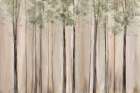 Soft Forest in Gentle Light Art Print