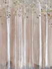 Muted Birchwood in Gentle Mist Art Print