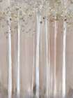 Muted Birch Trees in Soft Haze Art Print