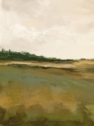 Fields Beneath the Overcast Sky Art Print by Ian C