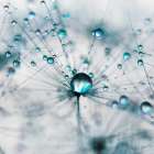 Droplets of Teal Art Print