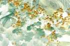 Golden Lady Mantle Art Print