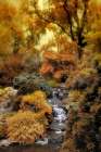 Japanese Rock Garden Art Print