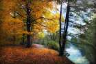 Autumn River View Art Print