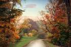 Country Road Art Print