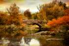 Autumn Epilogue Art Print