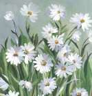 Daisy Day Art Print