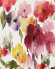 Bloom Ray II Art Print