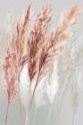 Blushing Pomp Grass I Botanical Print