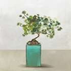 Bonsai Tree III Botanical Print