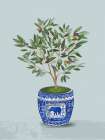 Olive Tree Botanical Print
