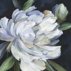 Blue Peonia II Art Print
