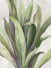 Flourishing Foliage II Art Print