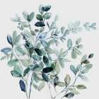 Green Canopy Serenade Art Print