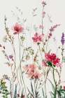 Pink Wild Flowers I Art Print