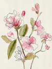 Pink Garden Whispers I Art Print