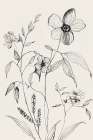 Petal Harmony I Art Print