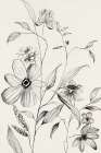 Petal Harmony II Art Print