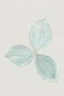 Blooming Daylight Minimalist Print