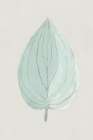 Shimmering Teal Minimalist Print