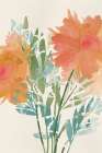Fresh Orange Poppies I Art Print