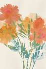 Fresh Orange Poppies II Art Print