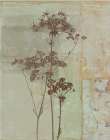 Silver Foliage II Art Print