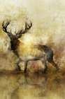 Calm Deer II Art Print