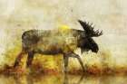 Happy Moose I Art Print