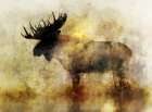 Happy Moose II Art Print