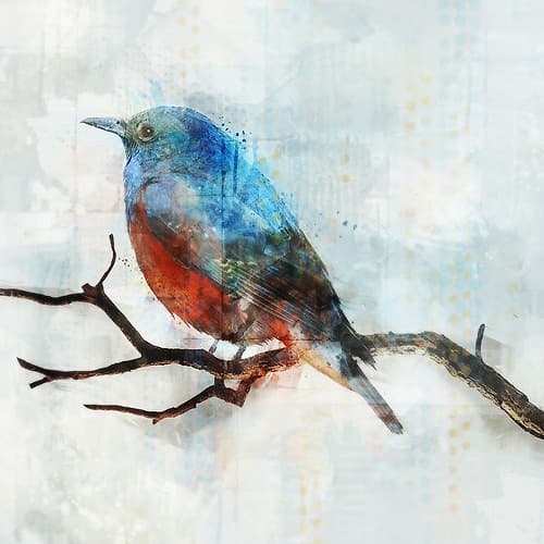 Little Blue Bird II Art Print