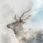 Stag Gaze I Art Print