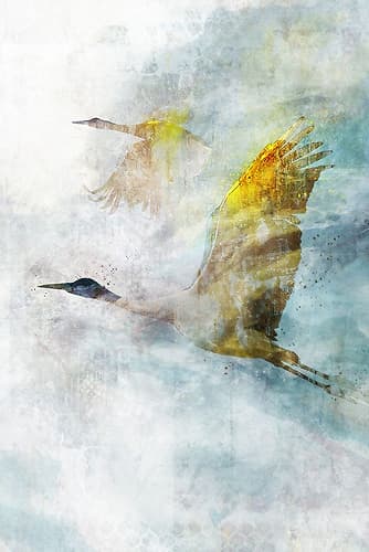 Crane Flight I Art Print