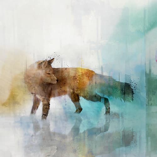 Fox on Teal II Art Print