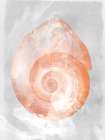 Coral Shell I Art Print