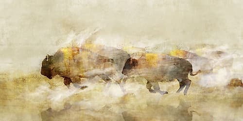 One With The Herd I Wildlife Print