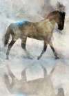 Gentle Walk I Art Print
