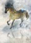Gentle Walk II Art Print