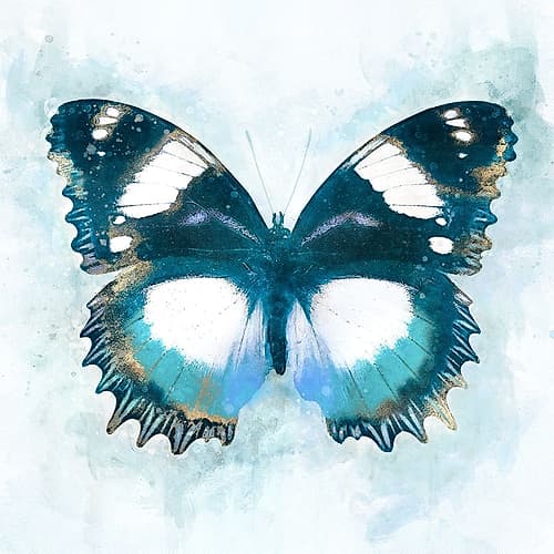 Artful Nature Art Print