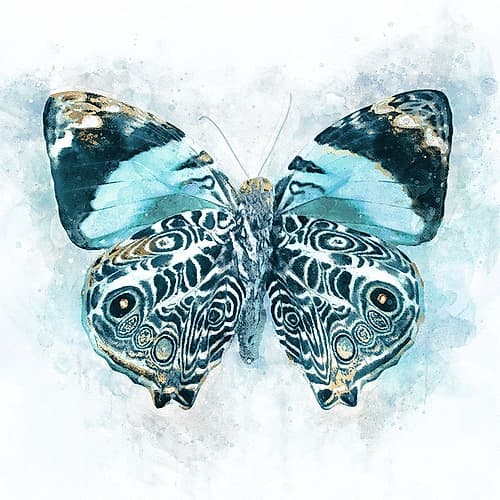 Winged Beauty Art Print
