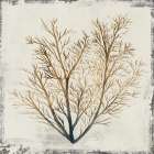 Yellow Coral II Art Print