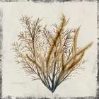 Yellow Coral III Art Print