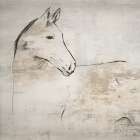 Horse II Art Print