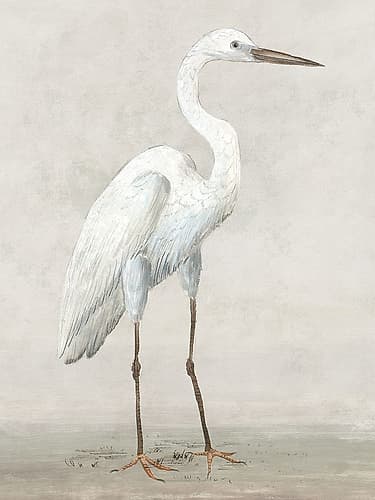 Vintage Heron I Art Print