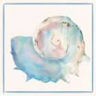 Seashell Serenade II Art Print