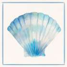 Seashell Serenade III Art Print