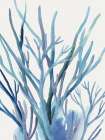Blue Reef I Art Print