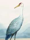 Winged Calm II Art Print