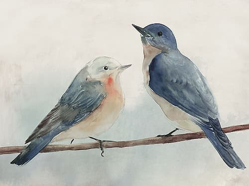 Two Birds Perched on Branch Art Print by Lily K